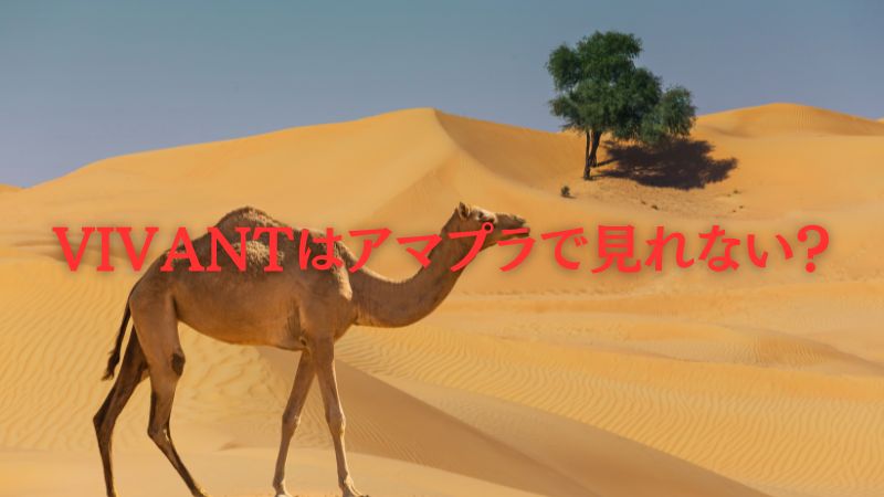 VIVANTはアマプラで見れない?現在の配信状況