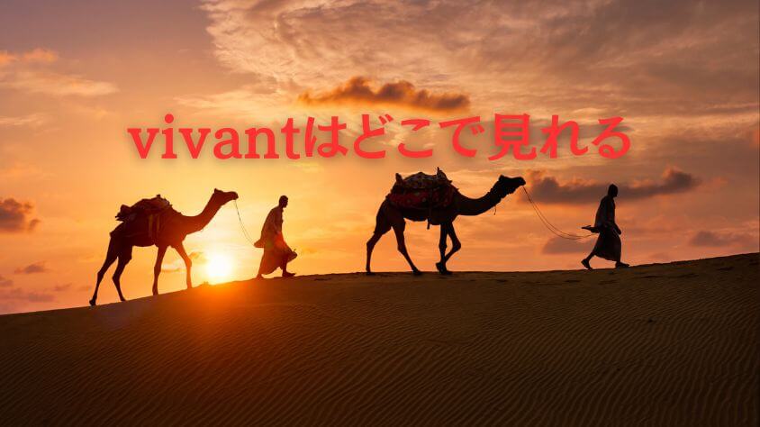 vivant どこで見れる